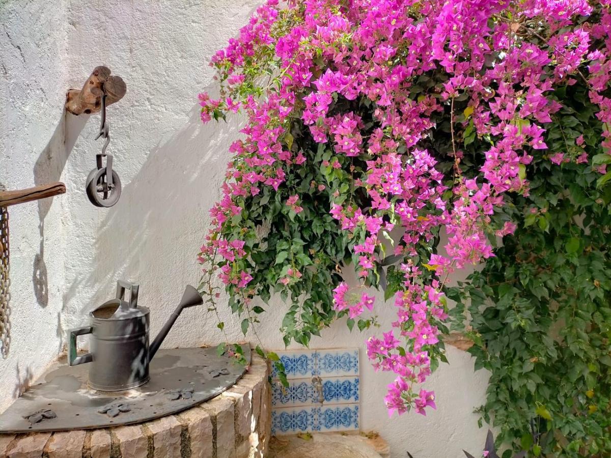 Albaga Holiday home